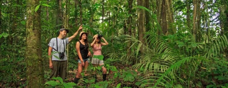 Experience Madre de Dios Amazon Reserve-Inkaterra 3-day tour - Final Thoughts