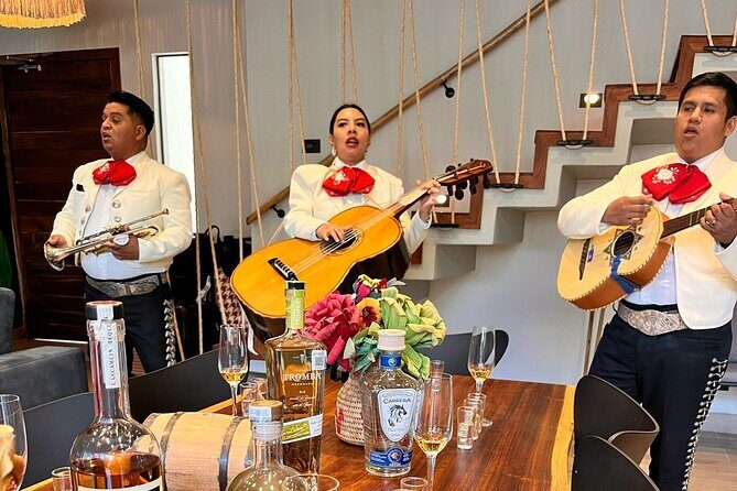 Experience of Tequila and Mezcal - Key Points