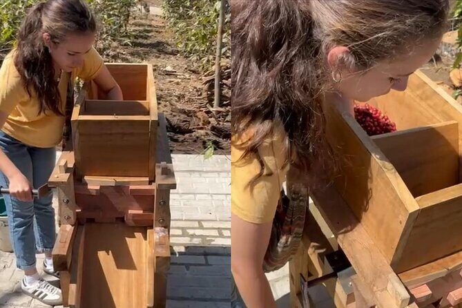 Experience: Organic Coffee, Avocados, Honey & More! - Practical Details to Keep in Mind