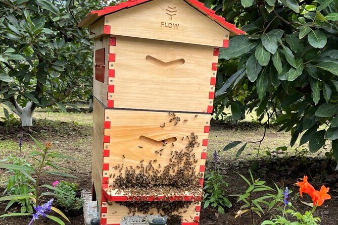 Experience: Organic Coffee, Avocados, Honey & More! - Cancellation Policy