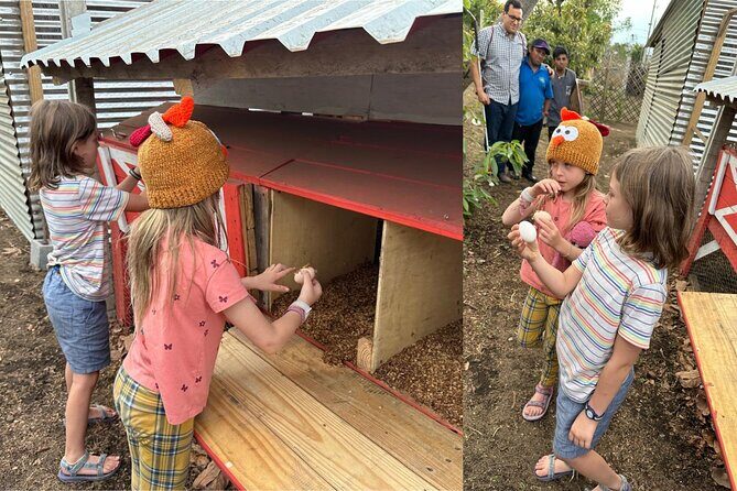 Experience: Organic Coffee, Avocados, Honey & More! - The Value of the Tour