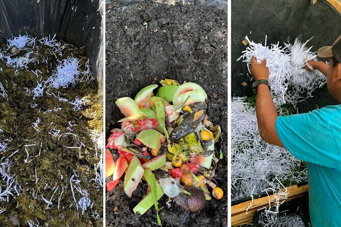 Experience: Organic Coffee, Avocados, Honey & More! - Who Would Love This Tour?