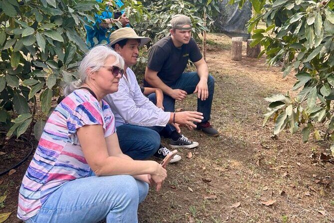 Experience: Organic Coffee, Avocados, Honey & More! - FAQs