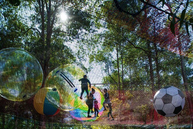 Experience Ourimbah State Forest Networld Adventure - Practical Details and Tips