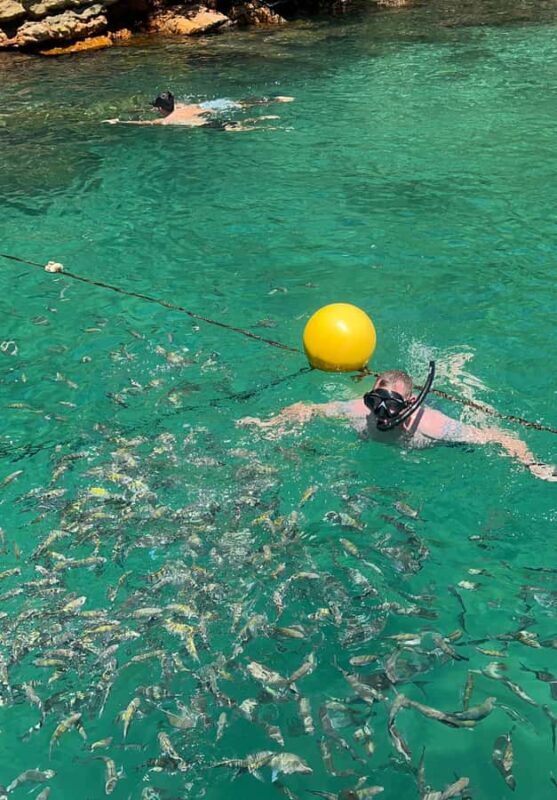 Experience Paradise Ilha Grande in a Speedboat Private - Key Points