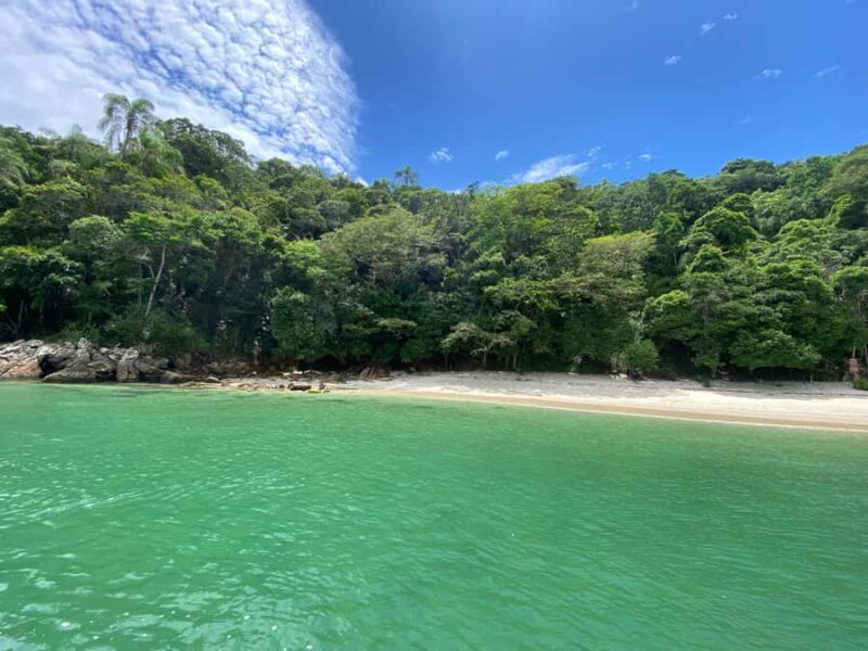 Experience Paradise Ilha Grande in a Speedboat Private - Who Will Love This Tour?