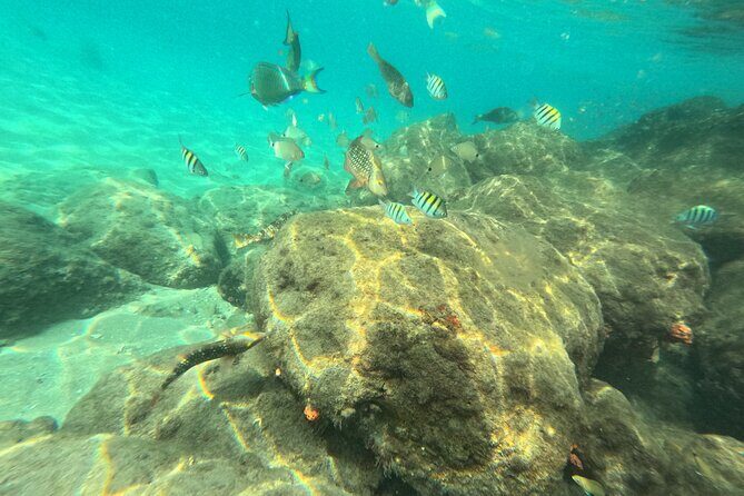 Experience Peanut Island Adventures with Go Pro - In-Depth Review of Peanut Island Adventures with Go Pro