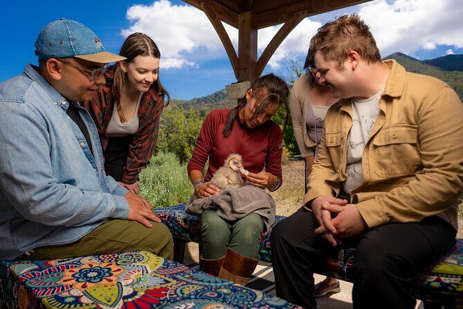 Experience Raptors and Falconry in Reno - Why This Tour Offers Great Value