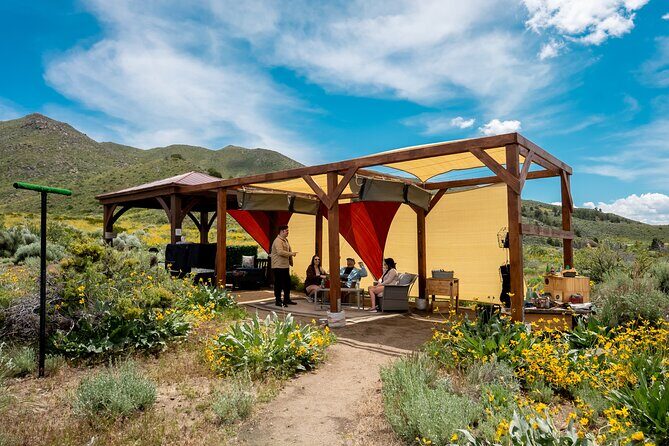 Experience Raptors and Falconry in Reno - Who Should Consider This Experience?