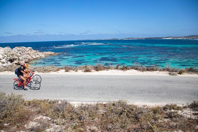 Experience Rottnest with Ferry & Bike Hire - Key Points