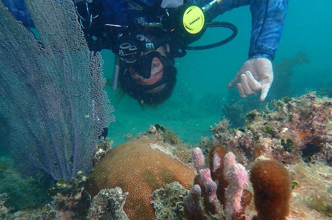 Experience Scuba Diving / NO certification Needed - FAQ