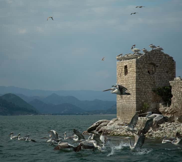 Experience Skadar Lake in 1h! - Authenticity and Personal Touches