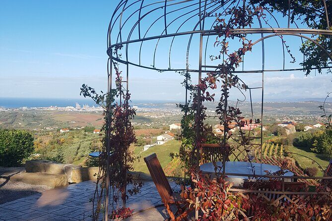 Experience Slovenian Coast line with Wine Tasting from Trieste - Wine Tasting: Authentic Flavors in a Picturesque Setting