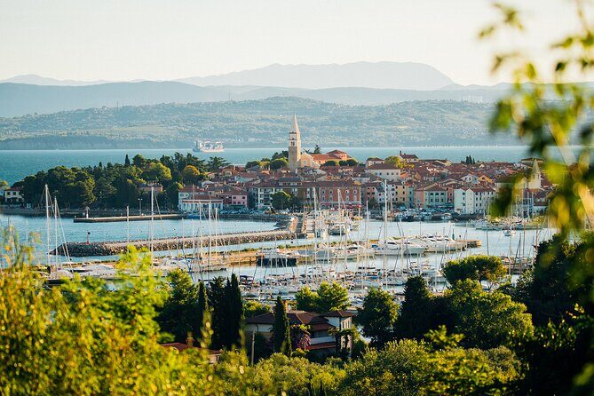 Experience Slovenian Coast line with Wine Tasting from Trieste - Value and Practical Tips