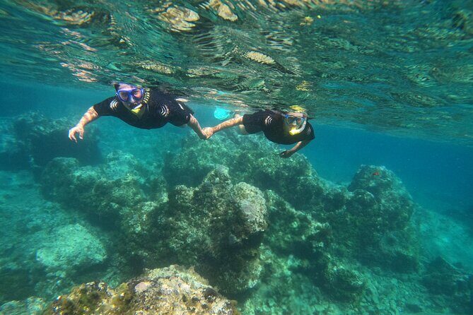 Experience Snorkelling in Puerto Del Carmen, Lanzarote - Experience Snorkelling in Puerto Del Carmen, Lanzarote