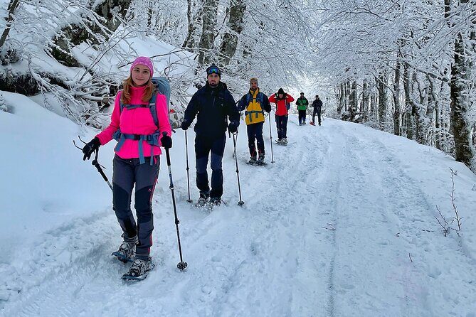 Experience Snowshoeing in Olympic Mountain Bjelanica - Who Should Consider This Tour?