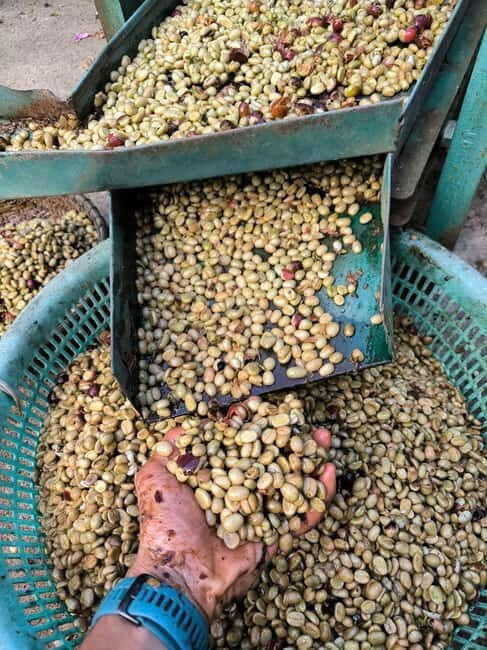 Experience specialty coffee with sustainable coffee farmers - FAQ