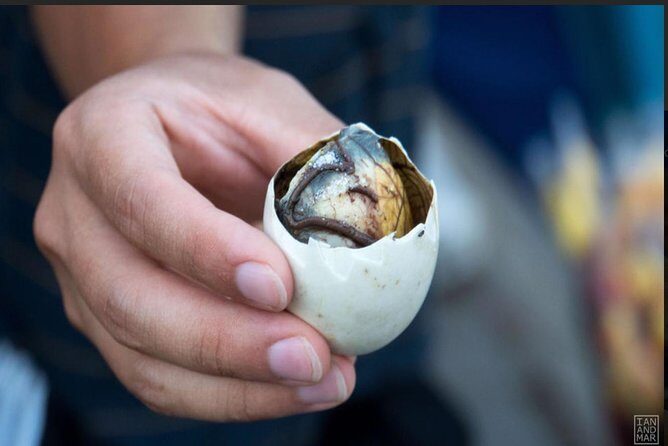 Experience Street Local Food Tour Hoi An - Experience Street Local Food Tour Hoi An