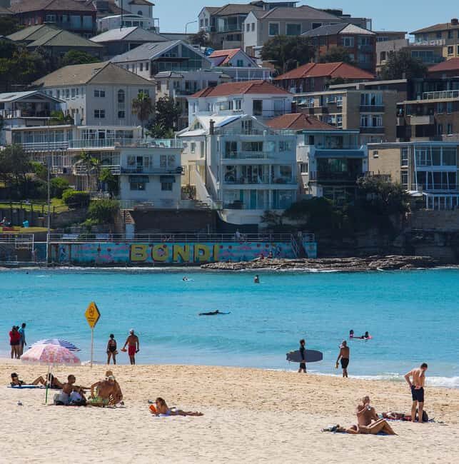 Experience Sydney's Best Beaches: Private Tour - Key Points