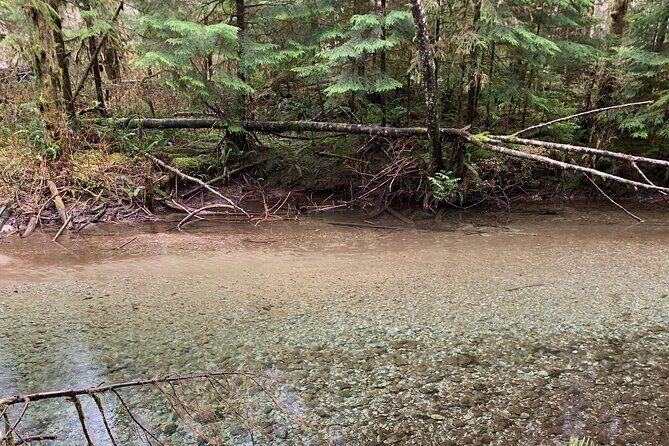 Experience the Beauty of Vancouvers Forests by Bike/E-Bike - FAQ