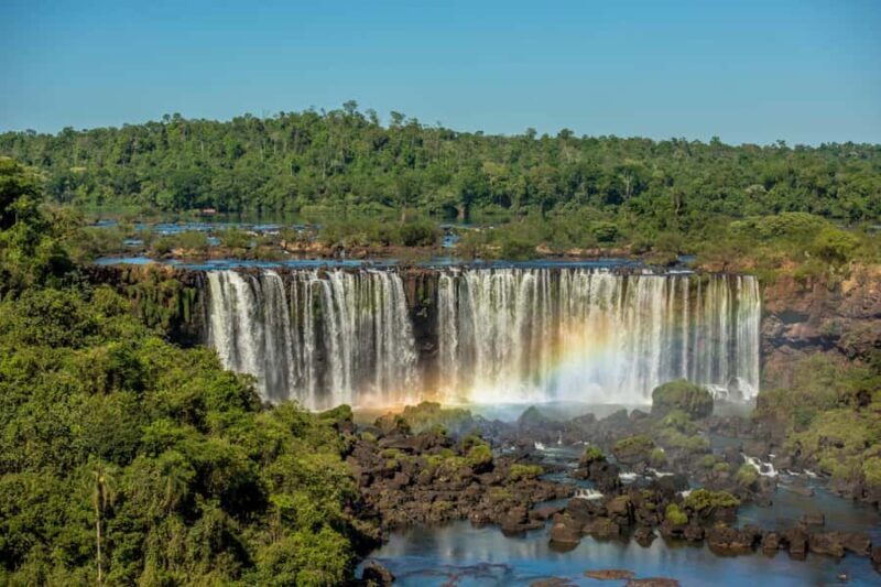 Experience the Brazilian Falls & Bird Park on a Guided Tour - Exploring the Tour in Detail