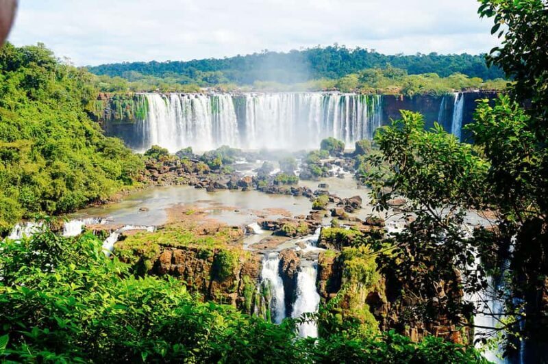 Experience the Brazilian Falls & Bird Park on a Guided Tour - What’s Included and What’s Not