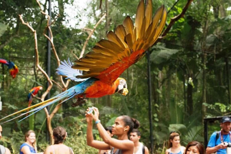 Experience the Brazilian Falls & Bird Park on a Guided Tour - FAQ