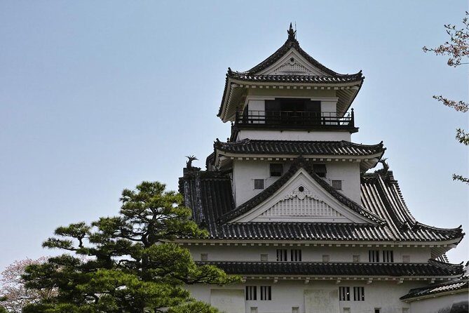 Experience the energy of Kochi: Sunday Market Tour includes Kochi Castle - Experience the Energy of Kochi: Sunday Market Tour Includes Kochi Castle