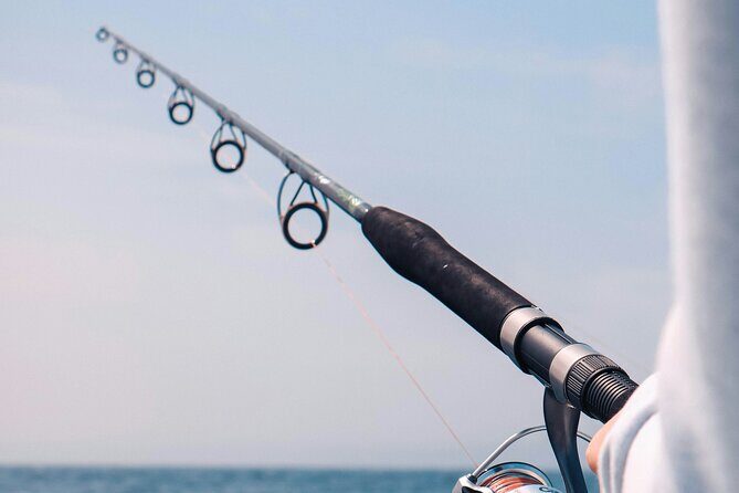 Experience the Exciting Fun of Surf Fishing - Key Points