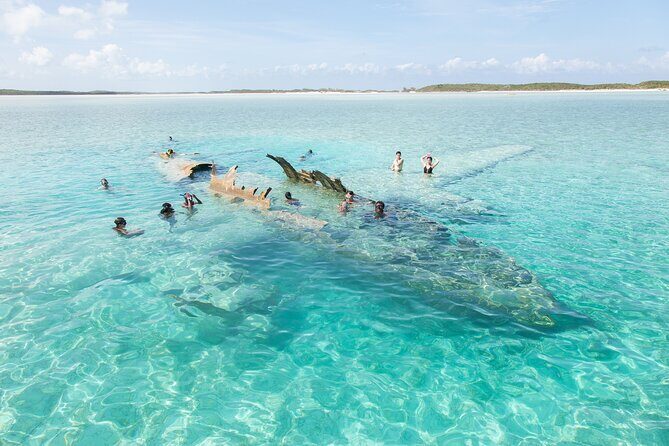 Experience The Exumas and the World Famous Swimming Pigs - Final Word