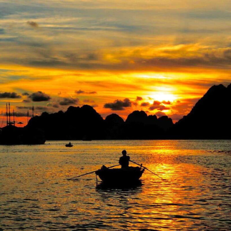 Experience the Magic: Night with Glowing Plankton - Key Points