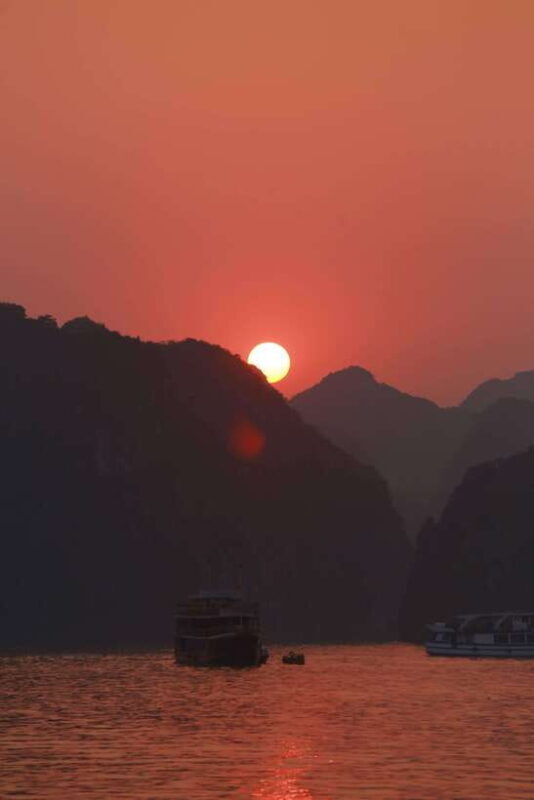 Experience the Magic: Night with Glowing Plankton - The Night Kayaking with Glowing Plankton