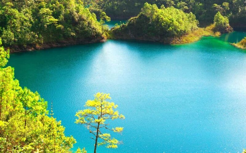 Experience the Magic of Chiapas: 3-Day Tour - Who Is This Tour Best For?