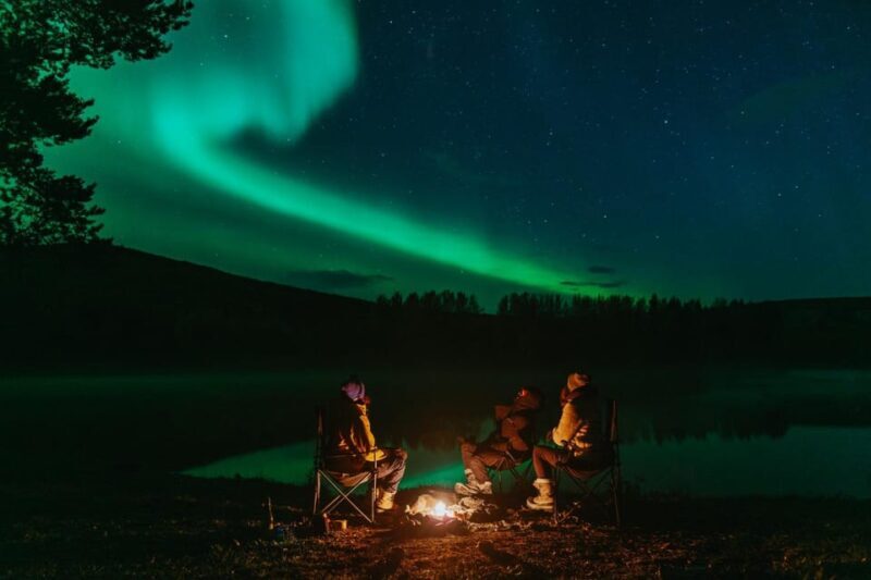 Experience the Magic of the Northern Lights in Lofoten! - A Deep Dive into the Lofoten Northern Lights Tour