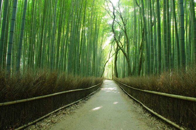 Experience the Wonders of Japan in One Day - Experience the Wonders of Japan in One Day