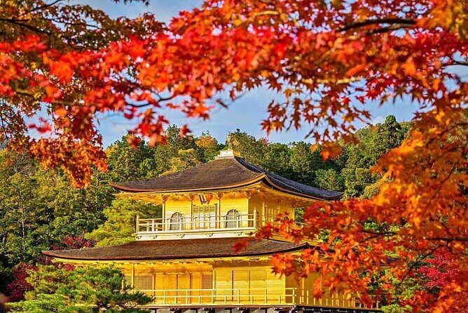 Experience the Wonders of Japan in One Day - Summary: Who Is This Tour Best For?