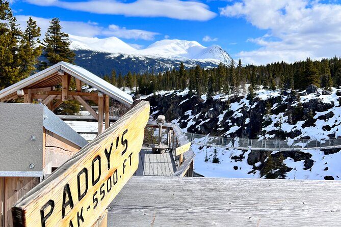 Experience the Yukon and Suspension Bridge - Who Should Consider This Tour?