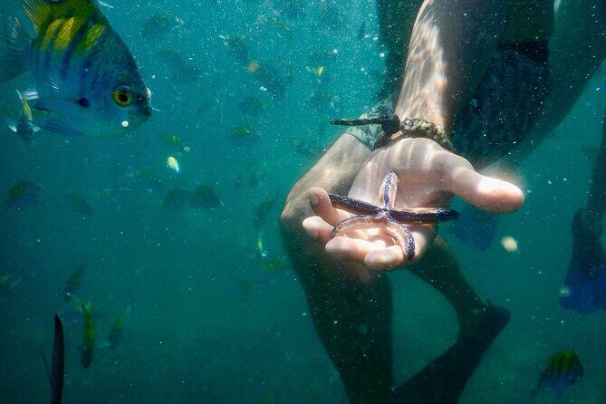 Experience Tortuga Island from Tambor - Key Points