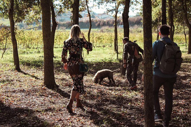 Experience Tuscan Truffle Hunting with Wine and Lunch - Experience Tuscan Truffle Hunting with Wine and Lunch: A Deep Dive
