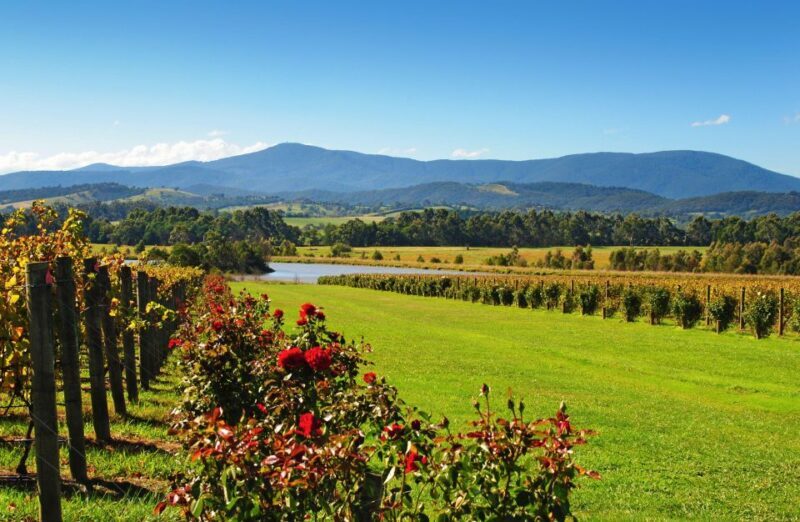 Experience Yarra Valley: A Tailored private Wine Journey - Who Should Consider This Tour?