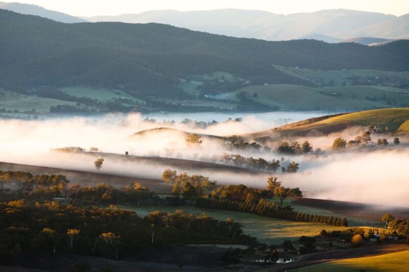 Experience Yarra Valley: A Tailored private Wine Journey - Frequently Asked Questions
