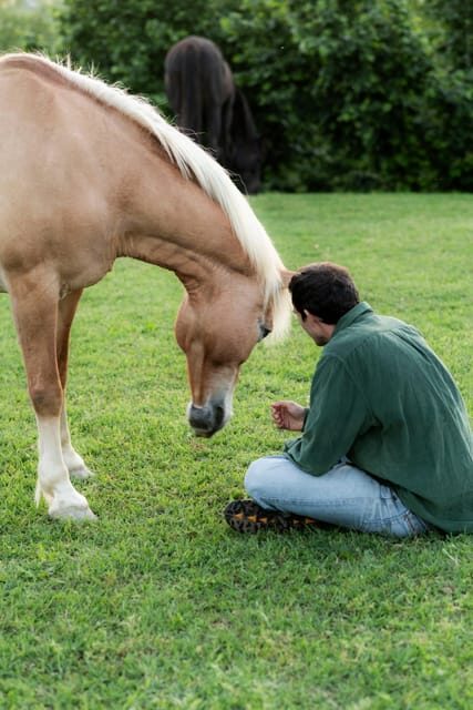 Experiential activity with horses: an experience in connection - Final Thoughts: Why It’s Worth It