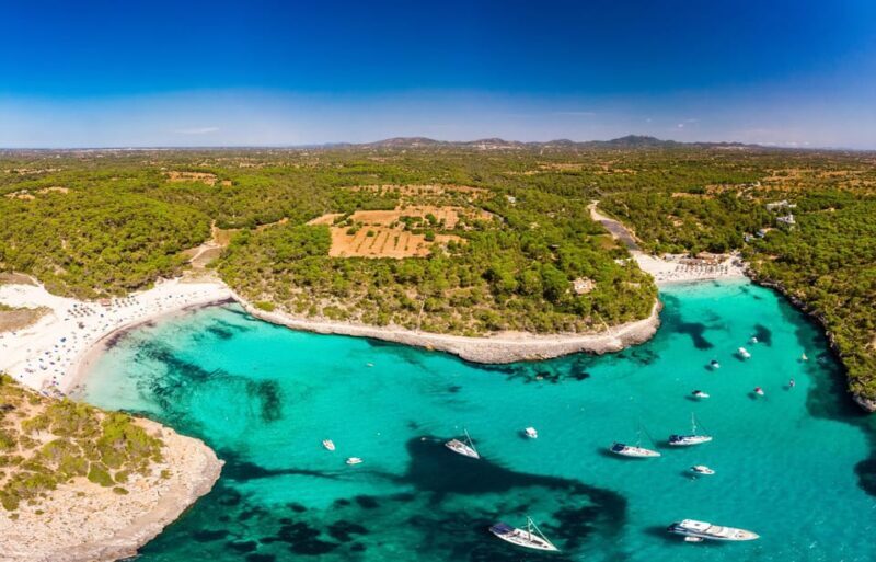Experinence in Mondrago /S'amarador / Trencada Snorkel y SUP - What Makes This Tour Stand Out?