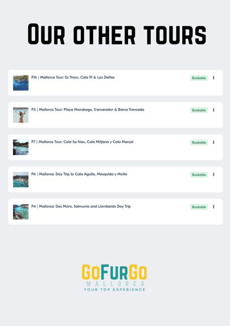 Experinence in Mondrago /S'amarador / Trencada Snorkel y SUP - Final Thoughts