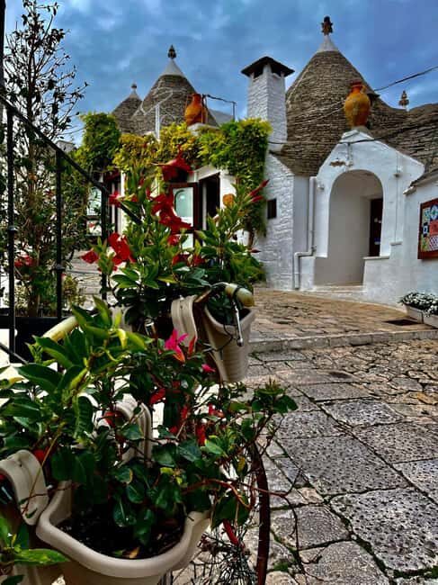Expert Guided Visit & Tasting, Alberobello - A Detailed Look at the Alberobello Guided Tour & Tasting Experience