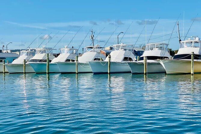 Exploration of Majestic Crystal Coast - What To Expect and Practical Tips