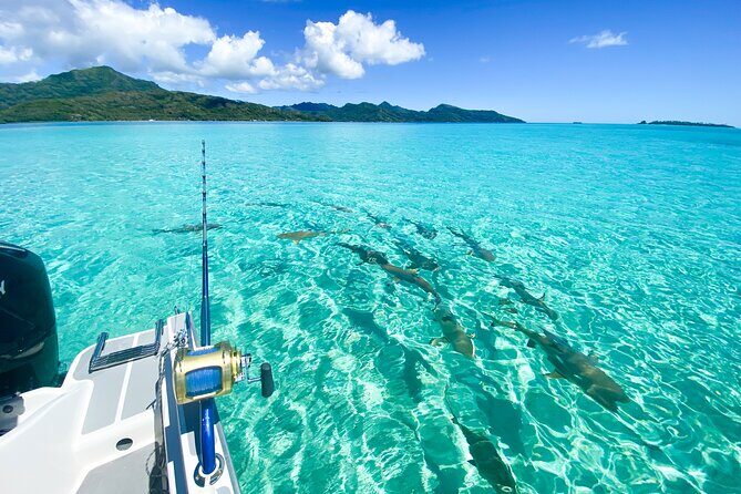 Exploration, Taha'a Lagoon Tour by Private Boat - Exploring Raiatea and Tahaa: A Private Lagoon Adventure