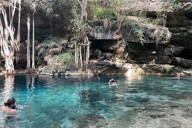 Explore 4 Amazing Cenotes with Lunch Tour from Merida - A Detailed Look at the Tour Experience