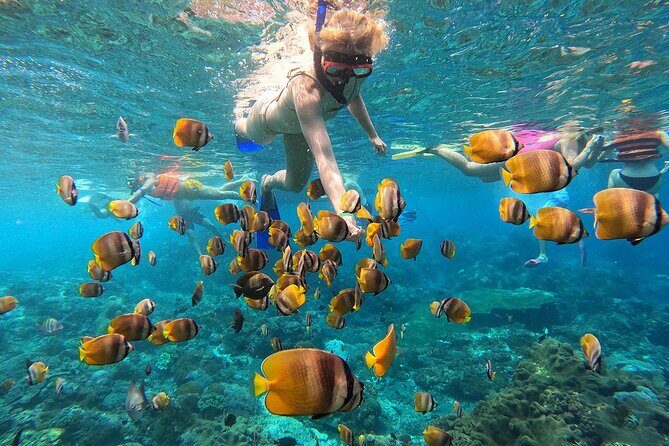 Explore 4 iconic snorkeling spots of Manta Bay in Nusa Penida - Explore 4 Iconic Snorkeling Spots of Manta Bay in Nusa Penida