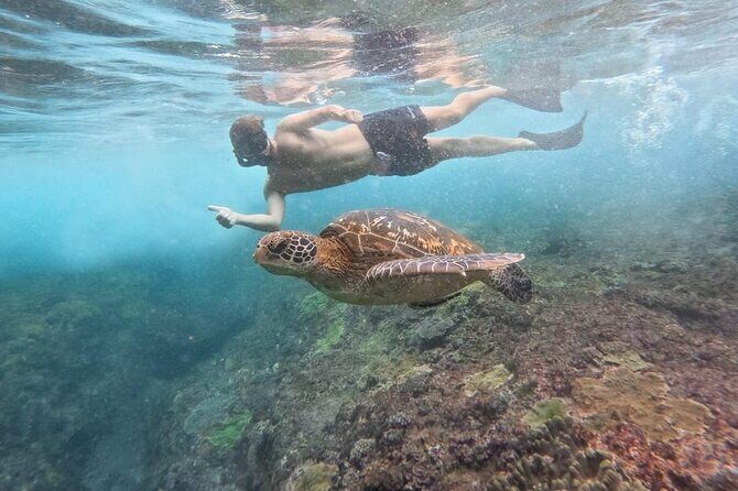 Explore 4 iconic snorkeling spots of Manta Bay in Nusa Penida - The value for money